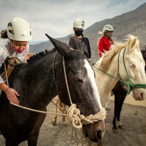 Paseo a Caballo en Lunahuaná