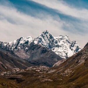Nevado Pastoruri y Puya de Raimondi