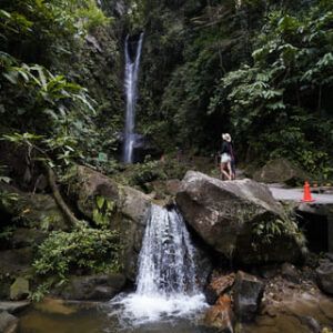 Catarata Ahuashiyacu
