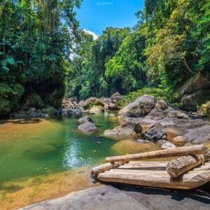 Cascadas de Carpishuyacu