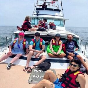 Nado con Lobos en Yate en las Islas Palomino