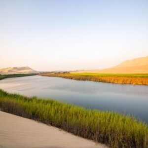 Oasis Costa Rica - Paracas