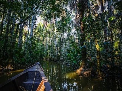 Río Amazonas, Isla de los Monos y Serpentario