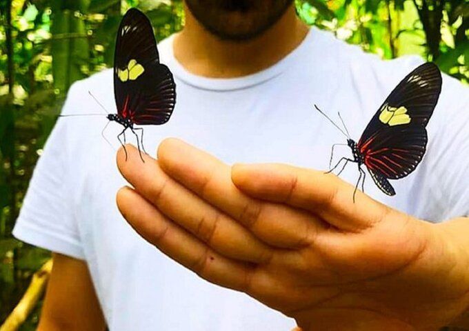 Zipline y Kayak en el Río Momón + Mariposario