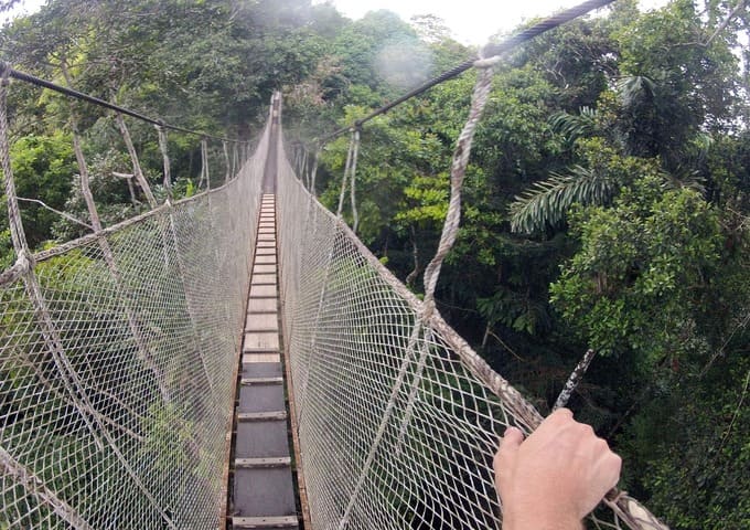 Zipline y Kayak en el Río Momón + Mariposario