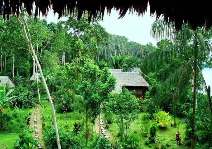 Wild Amazon Expedition 5d-4n