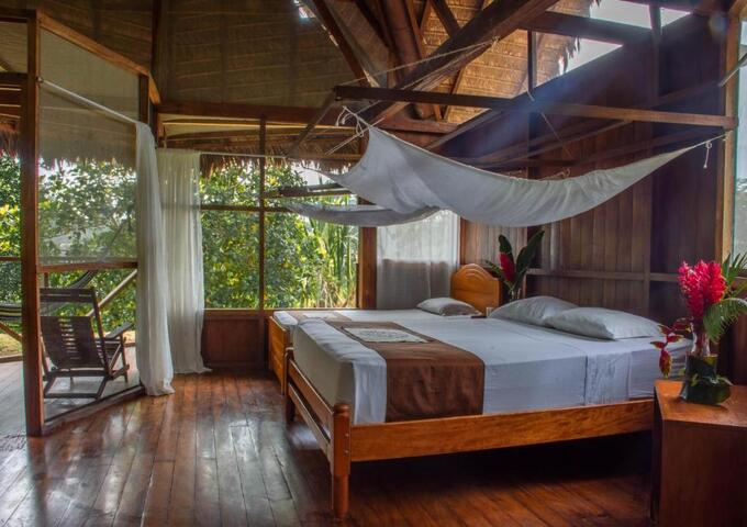 Amazon Expedition Tambopata 4d-3n